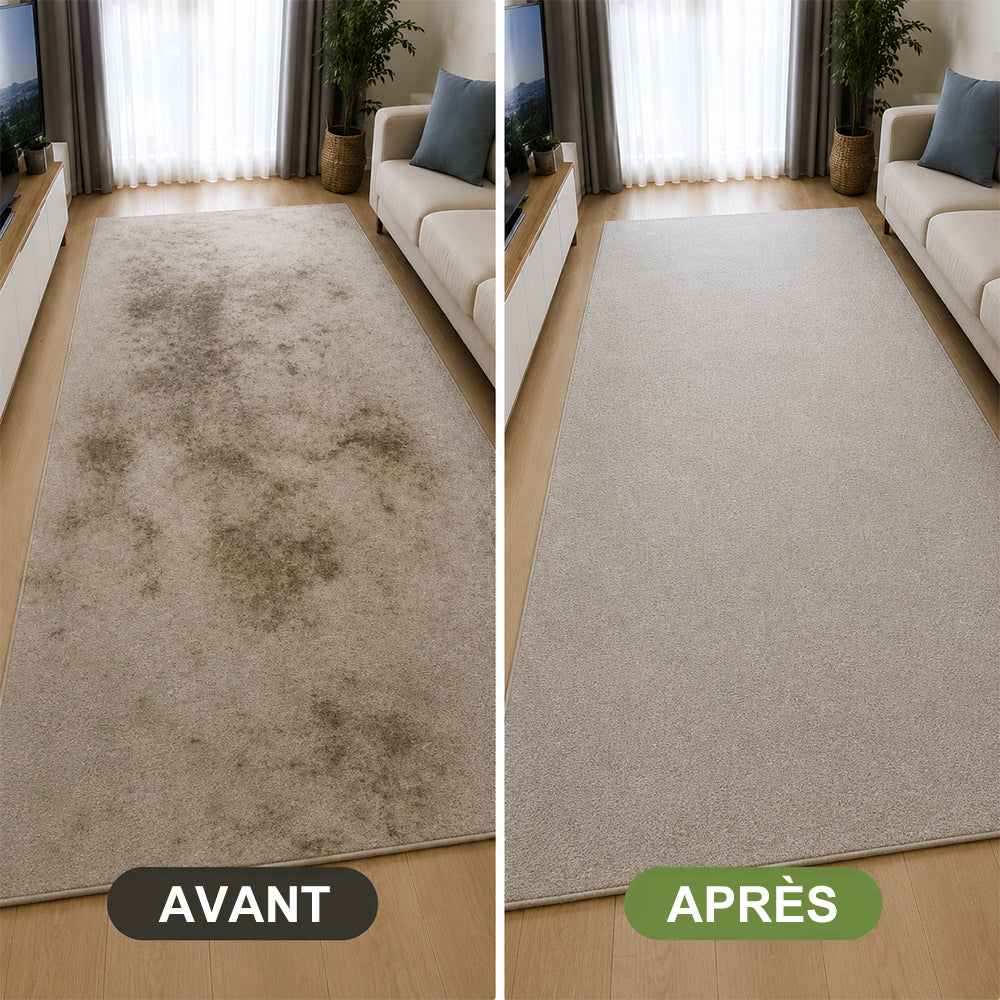 🔥−60 % AUJOURD’HUI🔥 Mousse détachante sans eau pour tapis avec chiffon