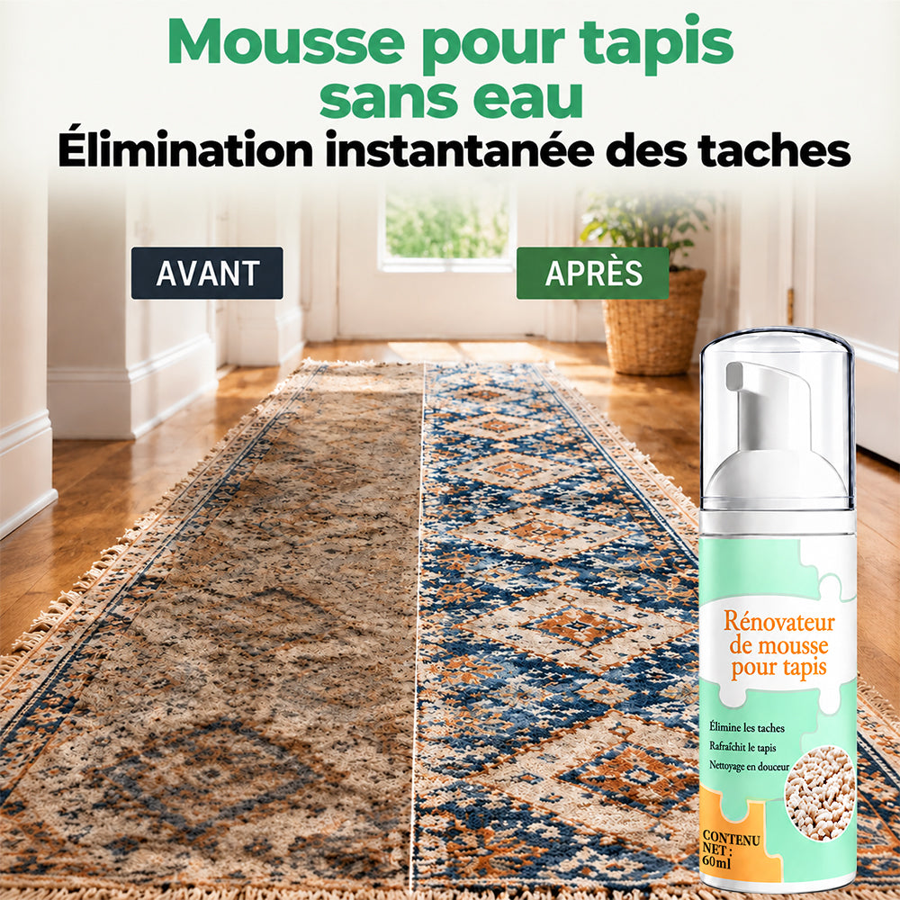 🔥−60 % AUJOURD’HUI🔥 Mousse détachante sans eau pour tapis avec chiffon