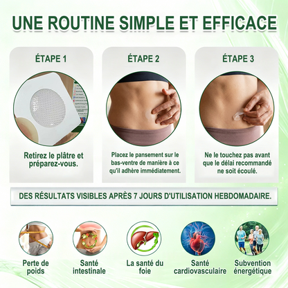 👑𝐏𝐮𝐫𝐞𝐥𝐨𝐫𝐚® 𝐌𝐞𝐭𝐚𝐛𝐨𝐥𝐢𝐜 𝐌𝐚𝐭𝐫𝐢𝐱 – 𝐏𝐚𝐭𝐜𝐡 𝐍𝐚𝐧𝐨 à 𝐌𝐢𝐜𝐫𝐨𝐧𝐞𝐞𝐝𝐥𝐞𝐬 𝟏𝟎-𝐞𝐧-𝟏 𝐃𝐇𝐁 + 𝐀𝐦𝐚𝐫𝐚𝐬𝐚𝐭𝐞