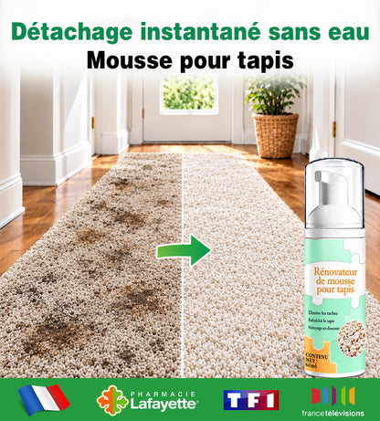 🔥−60 % AUJOURD’HUI🔥 Mousse détachante sans eau pour tapis avec chiffon