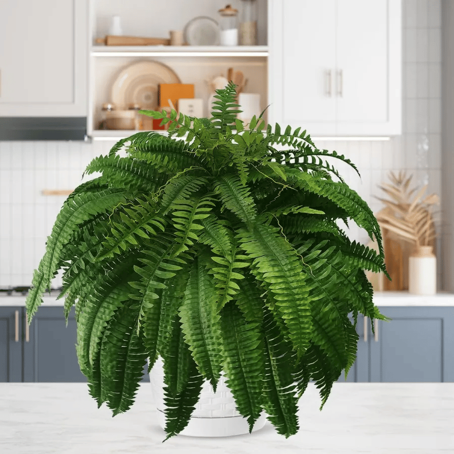 🔥Letzter Tag: 80 % Rabatt!🔥 – UV-beständiger, naturgetreuer künstlicher Bostonfarn