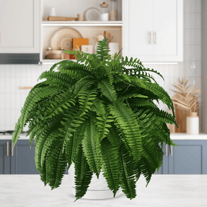 🔥Letzter Tag: 80 % Rabatt!🔥 – UV-beständiger, naturgetreuer künstlicher Bostonfarn