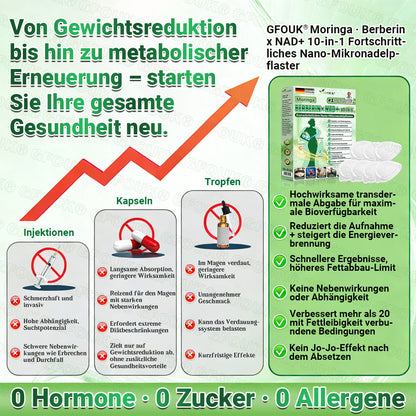 Offizieller Store 🇩🇪 |💖𝐆𝐅𝐎𝐔𝐊® Moringa · Berberin × NAD+ 10-in-1  Advanced Nano Mikronadel-Patch 🇩🇪 (Nur einmal täglich, sichtbare Veränderungen in 7 Tagen) ✅ Für Fettleibigkeit, schlaffe Haut, Diabetes, Schlafapnoe, Gelenkprobleme und mehr
