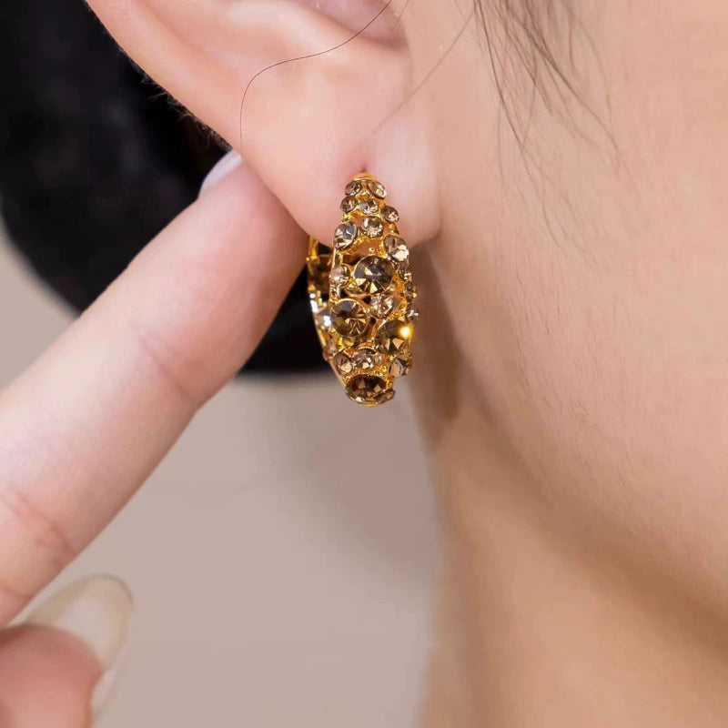 🔥💎 LETZTER TAG – 80 % RABATT Germanium-Ohrringe🍃