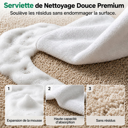 🔥−60 % AUJOURD’HUI🔥 Mousse détachante sans eau pour tapis avec chiffon