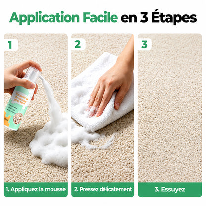 🔥−60 % AUJOURD’HUI🔥 Mousse détachante sans eau pour tapis avec chiffon