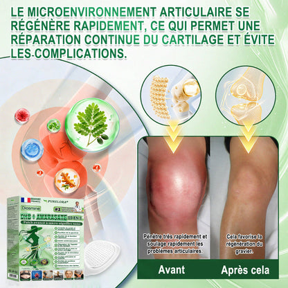 👑𝐏𝐮𝐫𝐞𝐥𝐨𝐫𝐚® 𝐌𝐞𝐭𝐚𝐛𝐨𝐥𝐢𝐜 𝐌𝐚𝐭𝐫𝐢𝐱 – 𝐏𝐚𝐭𝐜𝐡 𝐍𝐚𝐧𝐨 à 𝐌𝐢𝐜𝐫𝐨𝐧𝐞𝐞𝐝𝐥𝐞𝐬 𝟏𝟎-𝐞𝐧-𝟏 𝐃𝐇𝐁 + 𝐀𝐦𝐚𝐫𝐚𝐬𝐚𝐭𝐞