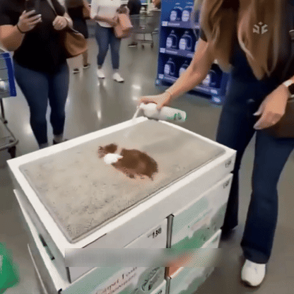 🔥−60 % AUJOURD’HUI🔥 Mousse détachante sans eau pour tapis avec chiffon